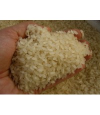 1- Baldo Pirinci Türk Malı